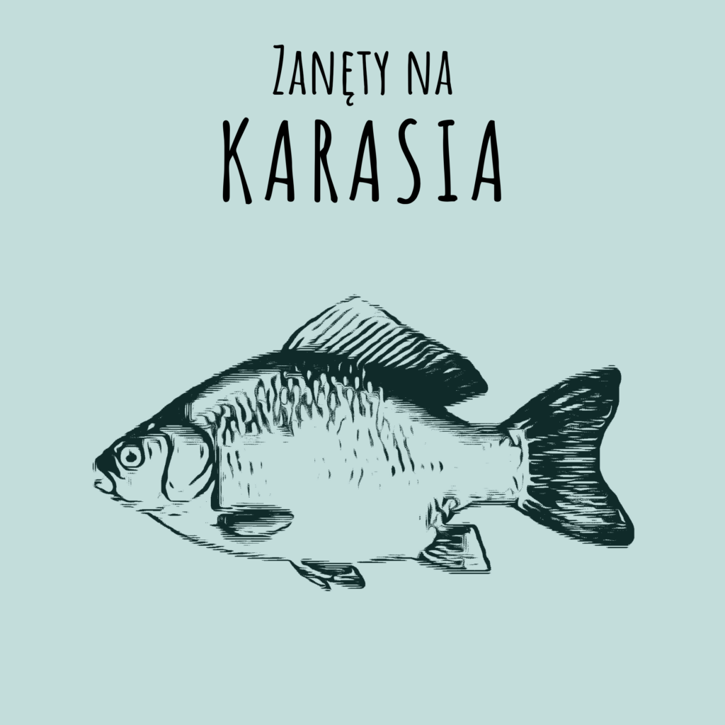 zanęta na karasia