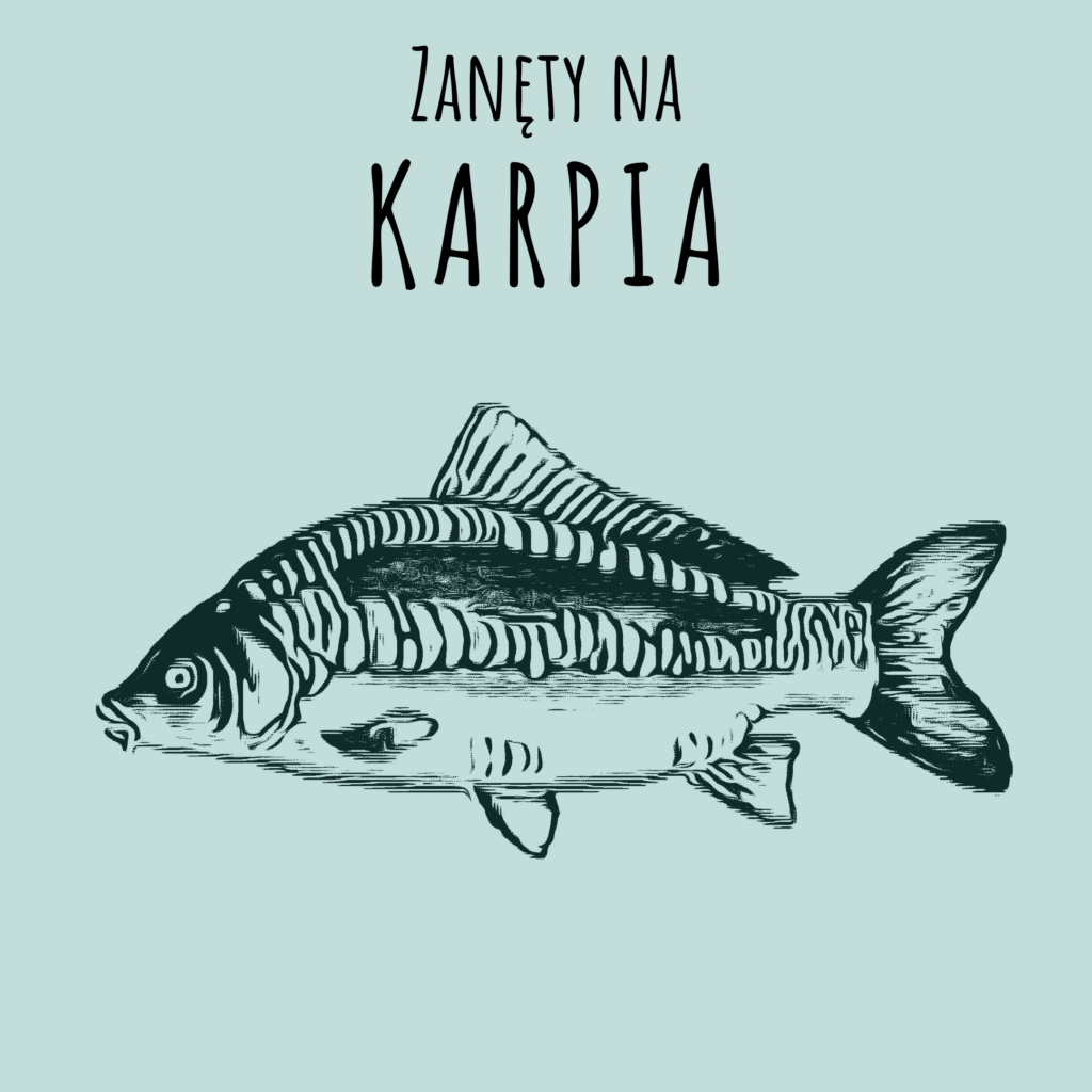 zanęty na karpia