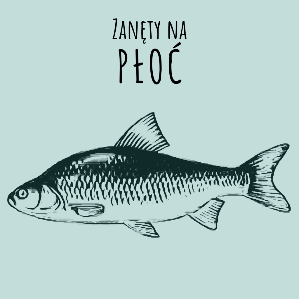 najlepsza zanęta na płoć