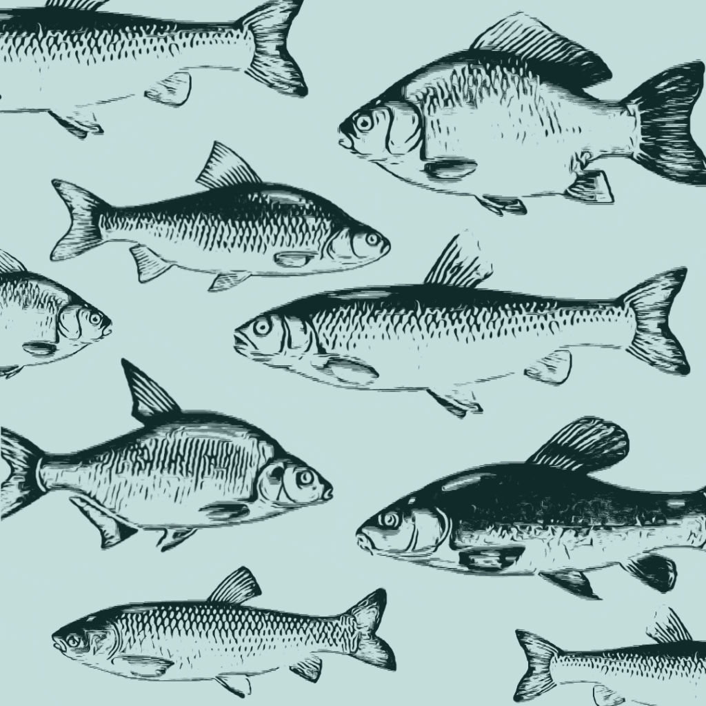 zanęty uniwersalne sklep fiskeri